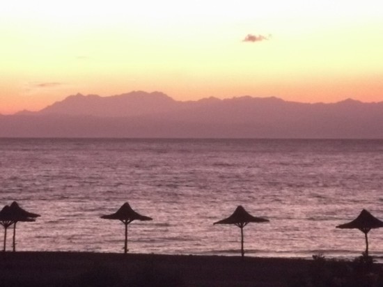Red sea diving