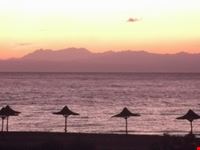 Red sea diving