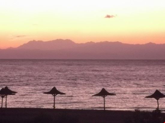 Red sea diving Red sea diving