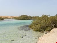 ras mohamed sharm el sheikh
