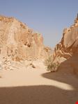 canyon bianco sharm el sheikh