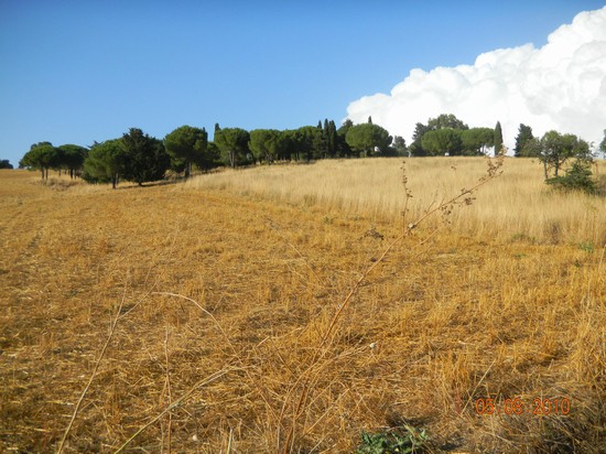 campagna di capalbio