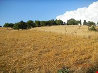 campagna di capalbio