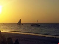 dhow