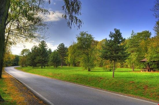 Kosutnjak Park