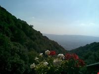assisi monte subasio