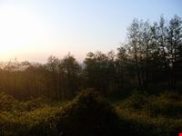 tramonto novi velia