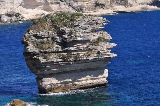  Bonifacio  