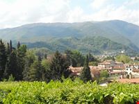 Bassano del Grappa