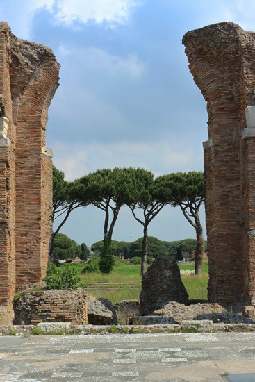 scavi 6