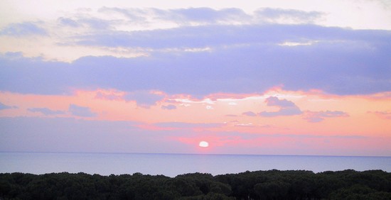 Tramonto sulla pineta di Baia Domizia