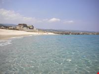 Mare