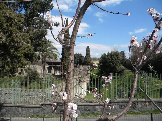 Villa di Dionigi
