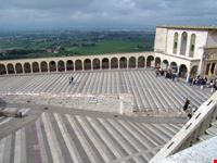 assisi assisi