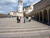assisi assisi