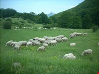 Monti della Laga e Gran Sasso