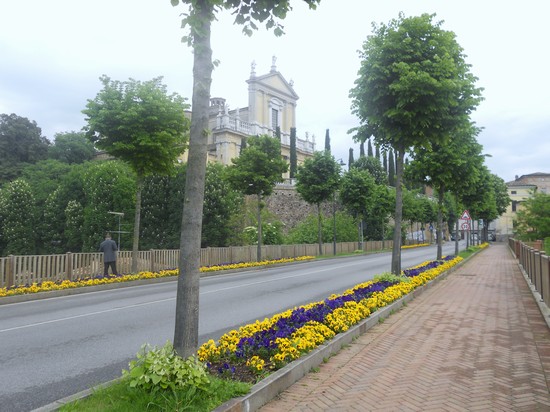 castiglione delle stiviere