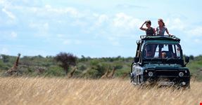 Safari Grande Migrazione