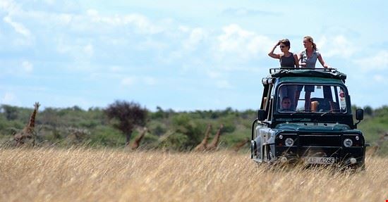 Safari Grande Migrazione