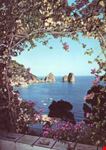 Marina Piccola e Faraglioni visti da villa "Casa Mia"