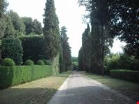 Villa Oliva