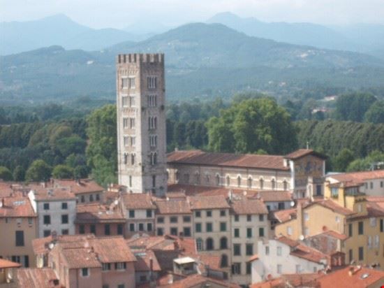 Torre Guinigi Torre Guinigi  