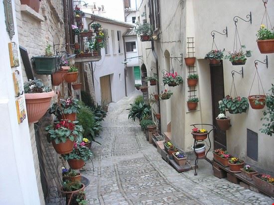 Vicoli Spello  