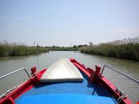 verso Venezia e l'America's Cup...