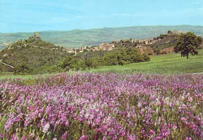 Panorama con le due rocche