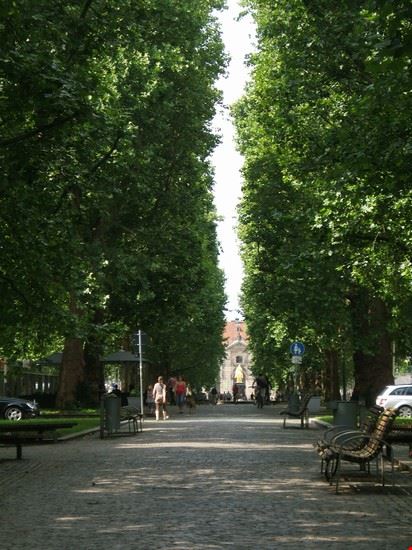  Dresden  