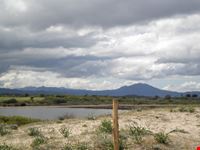 nei dintorni di Olbia, alle spalle il mare...
