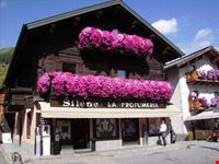 fiori