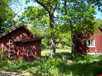 Skansen