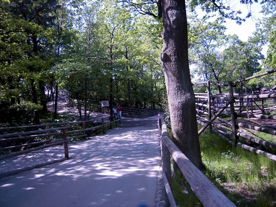 Skansen