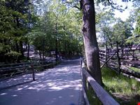Skansen