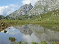 riflessi