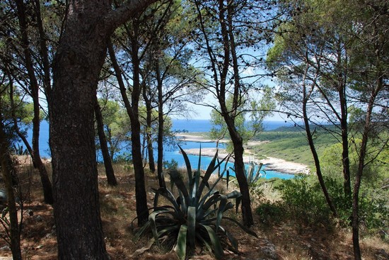 Porto Selvaggio