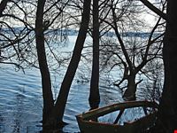 Lago di anguillara