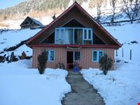 kashmir