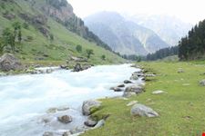 kashmir