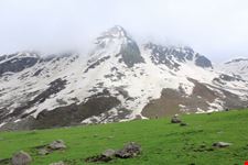 kashmir