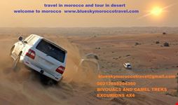 excurion in morocco and camel treks in desert marrakech