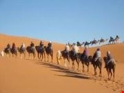 camel treking in desert marrakech