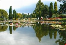La piscina con le ninfee