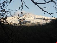 Etna innevata