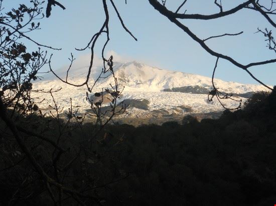  1° gennaio 2012 alba ai Monti Rossi  