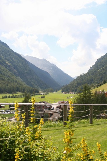 panorama