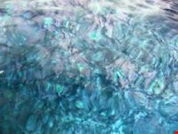il mare cristallino di Gozo