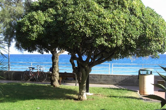 Borgio, passeggiata a mare