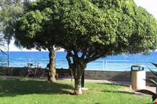 Borgio, passeggiata a mare